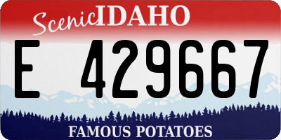 ID license plate E429667