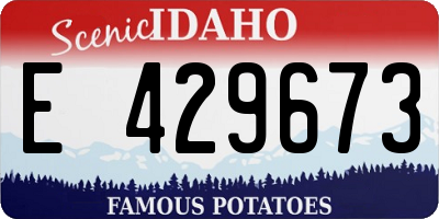 ID license plate E429673