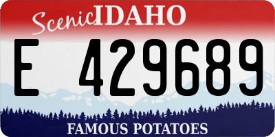 ID license plate E429689