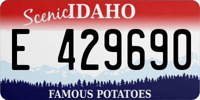 ID license plate E429690