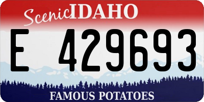 ID license plate E429693