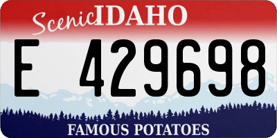ID license plate E429698