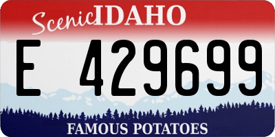 ID license plate E429699