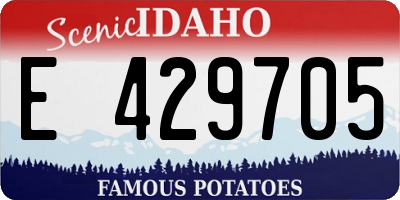 ID license plate E429705