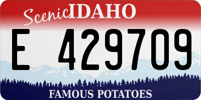 ID license plate E429709