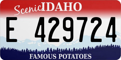 ID license plate E429724