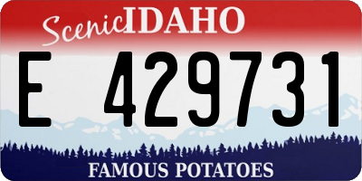 ID license plate E429731