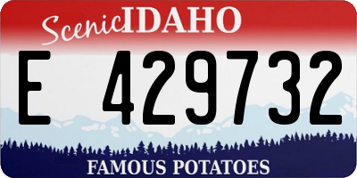 ID license plate E429732