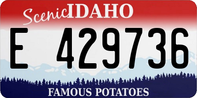 ID license plate E429736