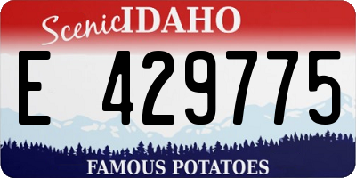 ID license plate E429775