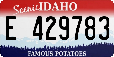 ID license plate E429783