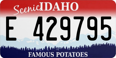 ID license plate E429795