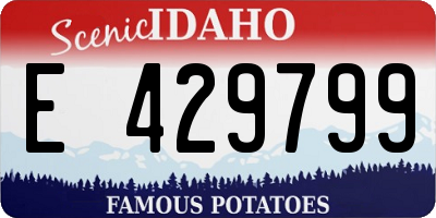 ID license plate E429799