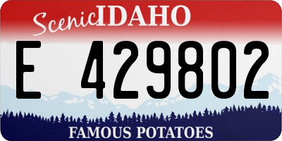ID license plate E429802