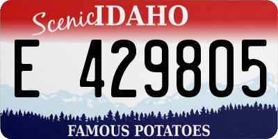 ID license plate E429805