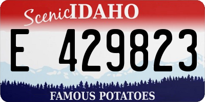 ID license plate E429823