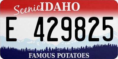ID license plate E429825