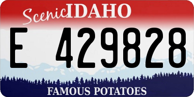 ID license plate E429828