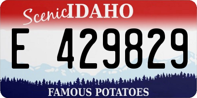 ID license plate E429829
