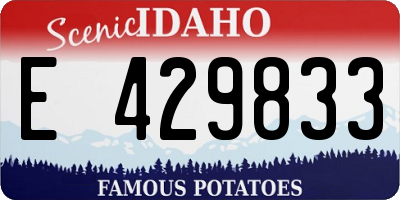 ID license plate E429833