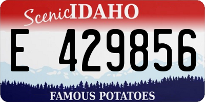 ID license plate E429856