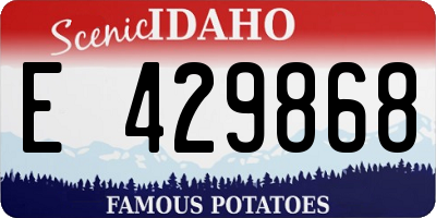 ID license plate E429868