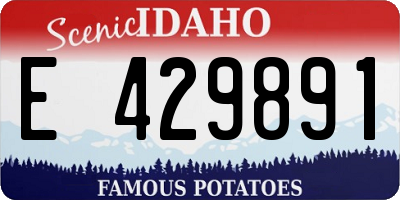 ID license plate E429891