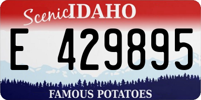 ID license plate E429895