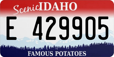 ID license plate E429905