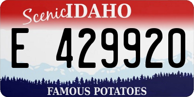 ID license plate E429920