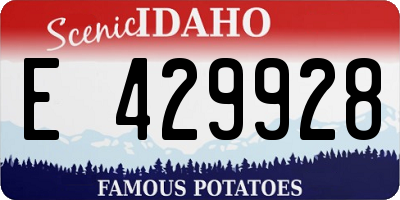 ID license plate E429928