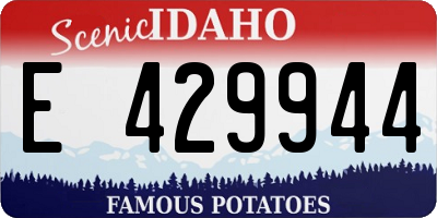 ID license plate E429944