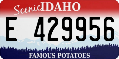 ID license plate E429956