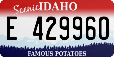 ID license plate E429960