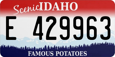 ID license plate E429963