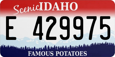 ID license plate E429975