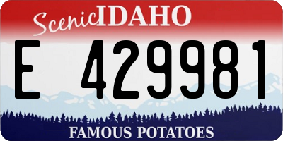 ID license plate E429981