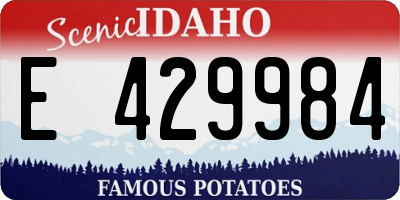ID license plate E429984
