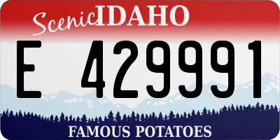 ID license plate E429991