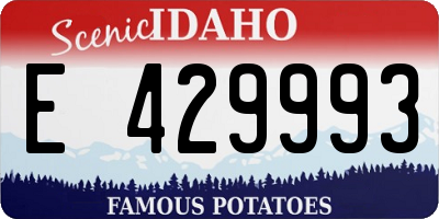 ID license plate E429993