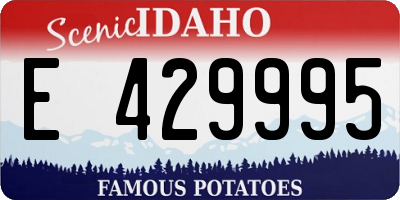 ID license plate E429995