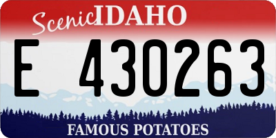 ID license plate E430263