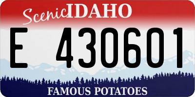 ID license plate E430601