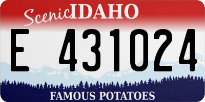 ID license plate E431024