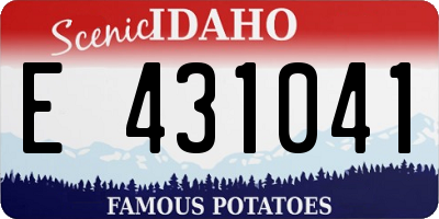 ID license plate E431041