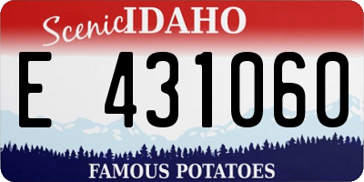 ID license plate E431060