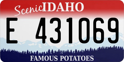 ID license plate E431069