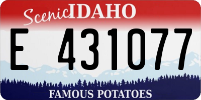 ID license plate E431077