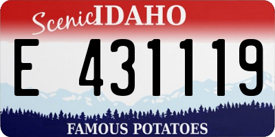 ID license plate E431119