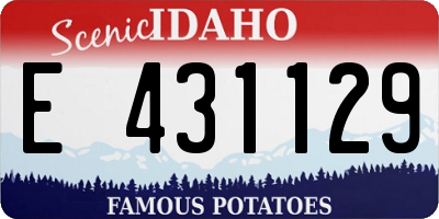ID license plate E431129